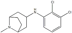 N-(2,3-dichlorophenyl)-8-methyl-8-azabicyclo[3.2.1]octan-3-amine Struktur