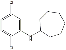 N-(2,5-dichlorophenyl)cycloheptanamine Struktur