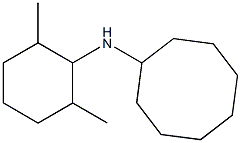 N-(2,6-dimethylcyclohexyl)cyclooctanamine Struktur