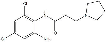 N-(2-amino-4,6-dichlorophenyl)-3-(pyrrolidin-1-yl)propanamide Struktur