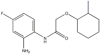 N-(2-amino-4-fluorophenyl)-2-[(2-methylcyclohexyl)oxy]acetamide Struktur