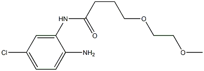 N-(2-amino-5-chlorophenyl)-4-(2-methoxyethoxy)butanamide Struktur