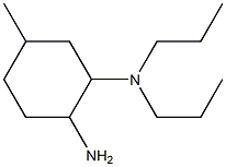 N-(2-amino-5-methylcyclohexyl)-N,N-dipropylamine Struktur