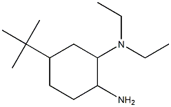 N-(2-amino-5-tert-butylcyclohexyl)-N,N-diethylamine Struktur