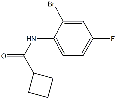 N-(2-bromo-4-fluorophenyl)cyclobutanecarboxamide Struktur