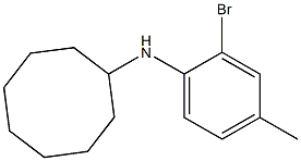 N-(2-bromo-4-methylphenyl)cyclooctanamine Struktur