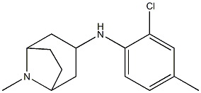 N-(2-chloro-4-methylphenyl)-8-methyl-8-azabicyclo[3.2.1]octan-3-amine Struktur