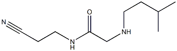 N-(2-cyanoethyl)-2-[(3-methylbutyl)amino]acetamide Struktur