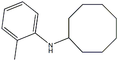 N-(2-methylphenyl)cyclooctanamine Struktur