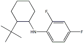 N-(2-tert-butylcyclohexyl)-2,4-difluoroaniline Struktur