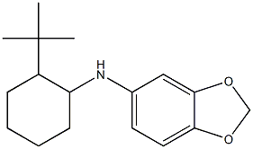 N-(2-tert-butylcyclohexyl)-2H-1,3-benzodioxol-5-amine Struktur