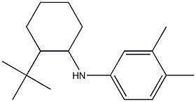 N-(2-tert-butylcyclohexyl)-3,4-dimethylaniline Struktur