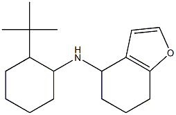 N-(2-tert-butylcyclohexyl)-4,5,6,7-tetrahydro-1-benzofuran-4-amine Struktur