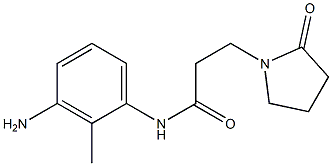 N-(3-amino-2-methylphenyl)-3-(2-oxopyrrolidin-1-yl)propanamide Struktur