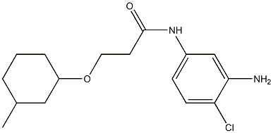 N-(3-amino-4-chlorophenyl)-3-[(3-methylcyclohexyl)oxy]propanamide Struktur