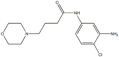 N-(3-amino-4-chlorophenyl)-4-morpholin-4-ylbutanamide Struktur