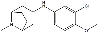 N-(3-chloro-4-methoxyphenyl)-8-methyl-8-azabicyclo[3.2.1]octan-3-amine Struktur