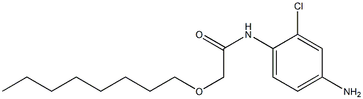 N-(4-amino-2-chlorophenyl)-2-(octyloxy)acetamide Struktur