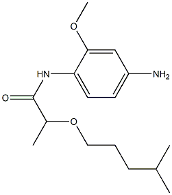 N-(4-amino-2-methoxyphenyl)-2-[(4-methylpentyl)oxy]propanamide Struktur