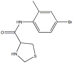 N-(4-bromo-2-methylphenyl)-1,3-thiazolidine-4-carboxamide Struktur