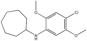 N-(4-chloro-2,5-dimethoxyphenyl)cycloheptanamine Struktur