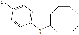 N-(4-chlorophenyl)cyclooctanamine Struktur