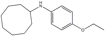 N-(4-ethoxyphenyl)cyclooctanamine Struktur