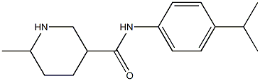 N-(4-isopropylphenyl)-6-methylpiperidine-3-carboxamide Struktur