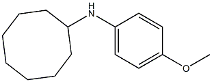 N-(4-methoxyphenyl)cyclooctanamine Struktur