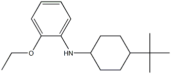 N-(4-tert-butylcyclohexyl)-2-ethoxyaniline Struktur