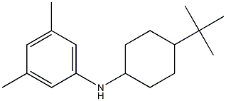 N-(4-tert-butylcyclohexyl)-3,5-dimethylaniline Struktur