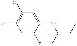 N-(butan-2-yl)-2,4,5-trichloroaniline Struktur