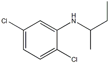 N-(butan-2-yl)-2,5-dichloroaniline Struktur