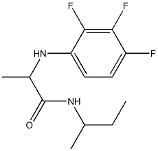 N-(butan-2-yl)-2-[(2,3,4-trifluorophenyl)amino]propanamide Struktur