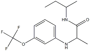 N-(butan-2-yl)-2-{[3-(trifluoromethoxy)phenyl]amino}propanamide Struktur