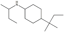 N-(butan-2-yl)-4-(2-methylbutan-2-yl)cyclohexan-1-amine Struktur