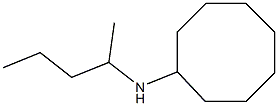 N-(pentan-2-yl)cyclooctanamine Struktur