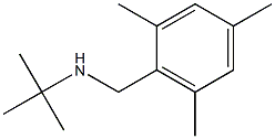 N-(tert-butyl)-N-(mesitylmethyl)amine Struktur