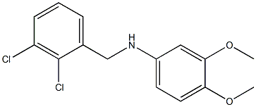 N-[(2,3-dichlorophenyl)methyl]-3,4-dimethoxyaniline Struktur