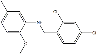 N-[(2,4-dichlorophenyl)methyl]-2-methoxy-5-methylaniline Struktur