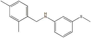 N-[(2,4-dimethylphenyl)methyl]-3-(methylsulfanyl)aniline Struktur