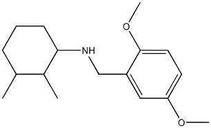 N-[(2,5-dimethoxyphenyl)methyl]-2,3-dimethylcyclohexan-1-amine Struktur