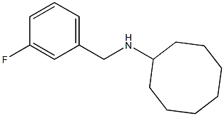 N-[(3-fluorophenyl)methyl]cyclooctanamine Struktur