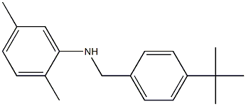 N-[(4-tert-butylphenyl)methyl]-2,5-dimethylaniline Struktur