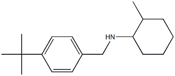 N-[(4-tert-butylphenyl)methyl]-2-methylcyclohexan-1-amine Struktur