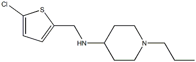 N-[(5-chlorothiophen-2-yl)methyl]-1-propylpiperidin-4-amine Struktur