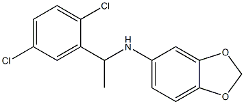 N-[1-(2,5-dichlorophenyl)ethyl]-2H-1,3-benzodioxol-5-amine Struktur