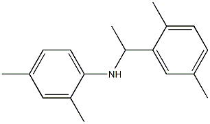 N-[1-(2,5-dimethylphenyl)ethyl]-2,4-dimethylaniline Struktur