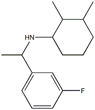 N-[1-(3-fluorophenyl)ethyl]-2,3-dimethylcyclohexan-1-amine Struktur