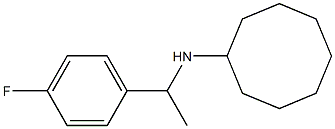 N-[1-(4-fluorophenyl)ethyl]cyclooctanamine Struktur